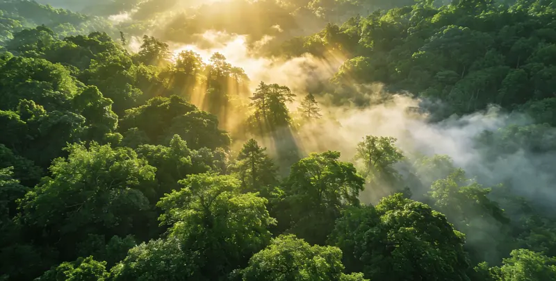 江门肺癌（EGFR T790M)突变检测检测图1