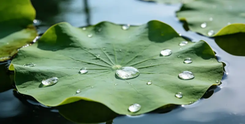 江门乳腺癌21基因mRNA表达分析检测图1