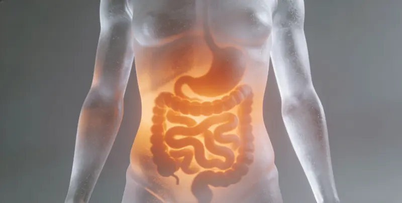 江门胃癌靶向用药39基因检测（组织）检测图1